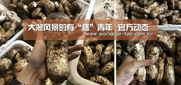 大煞风景的有“痣”青年-官方动态(图1) 世界杯中文网