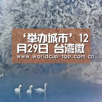 ‘举办城市’12月29日 台湾微整形之父 王笃行教授莅临亲诊(图1) World Cup 2026
