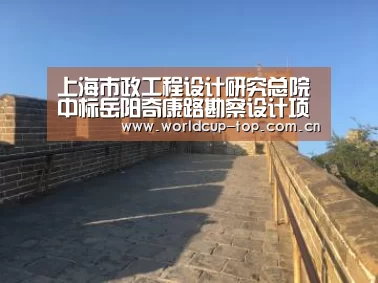 世界杯中文网