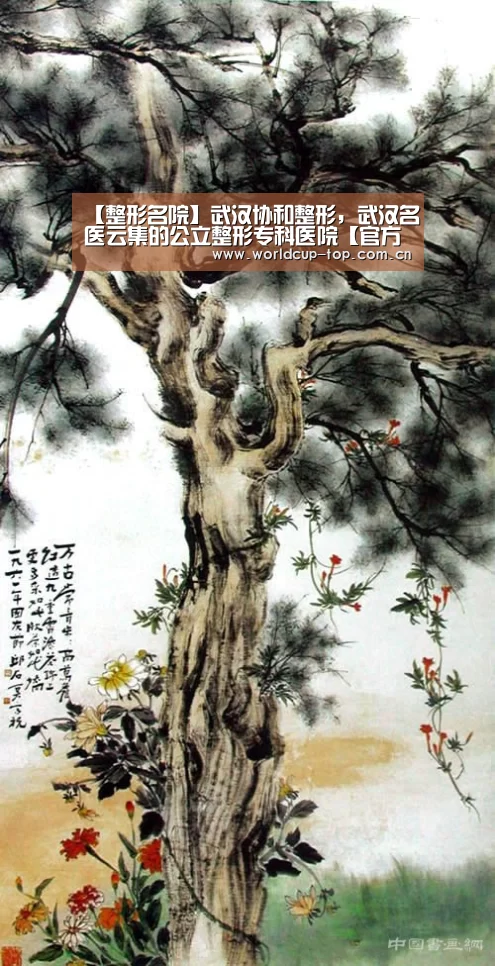 【整形名院】武汉协和整形,武汉名医云集的公立整形专科医院【官方动态】(图1) 世界杯中文网