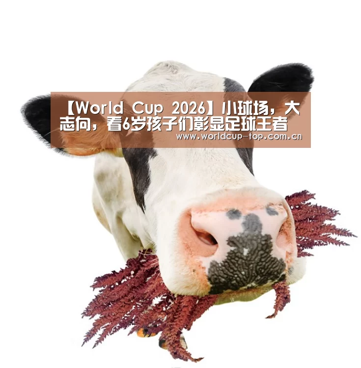 官方动态