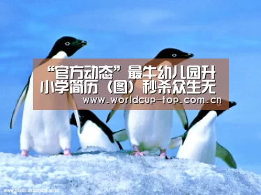 “官方动态”最牛幼儿园升小学简历(图)秒杀众生无商量(图1) World Cup 2026