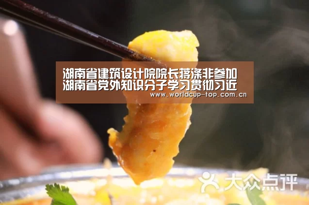 世界杯中文网